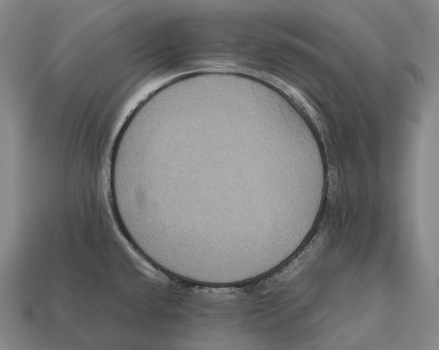 X0000113111432200909251043
