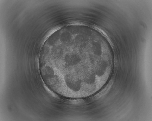 X0000113111433200909251043