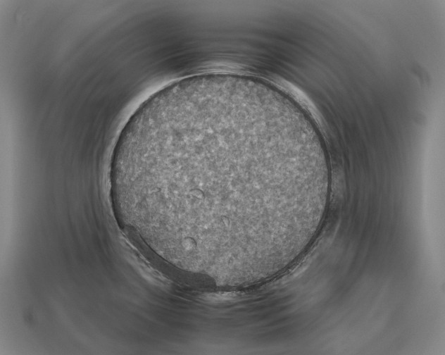X0000113111435200909251043