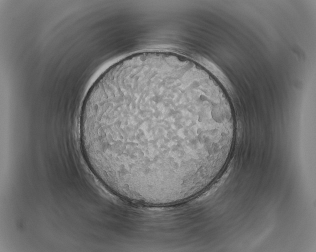 X0000113111436200909251043