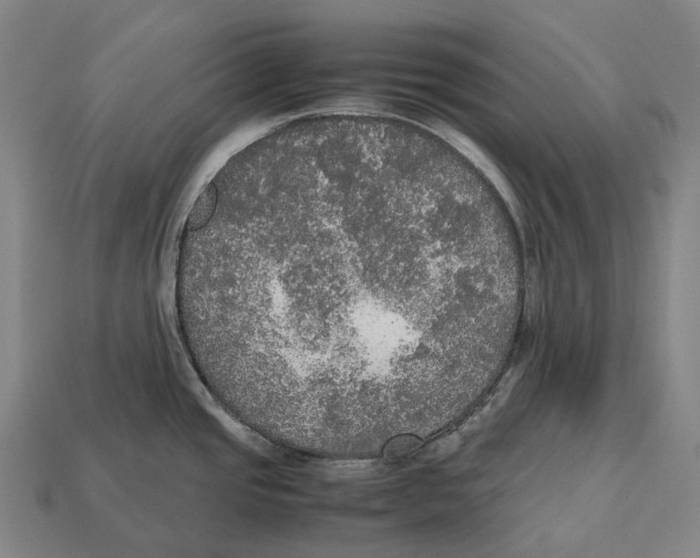 X0000113111437200909251043