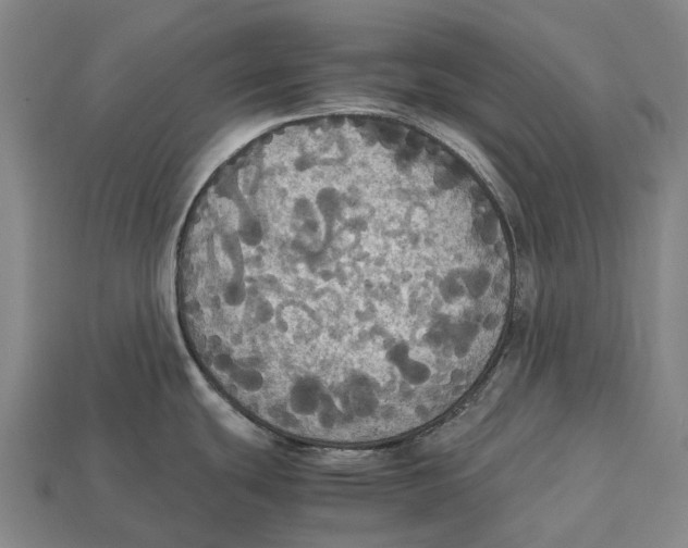 X0000113111439200909251043