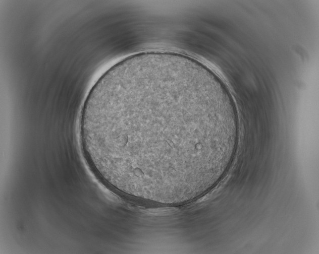 X0000113111440200909251043