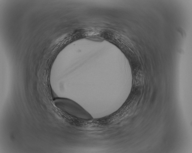 X0000113111441200909251042