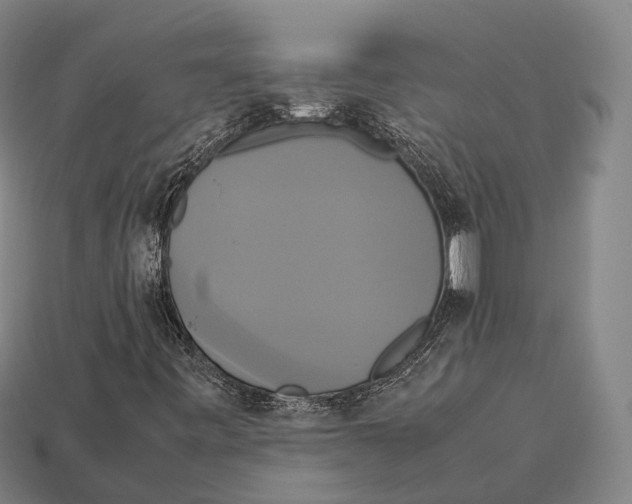 X0000113111443200909251042