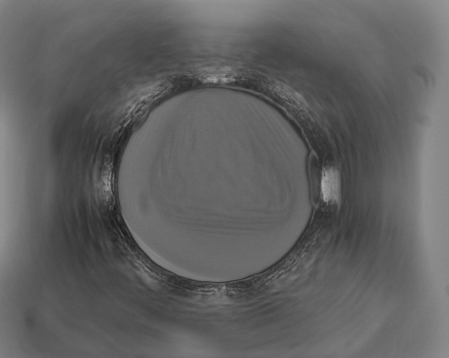 X0000113111444200909251042