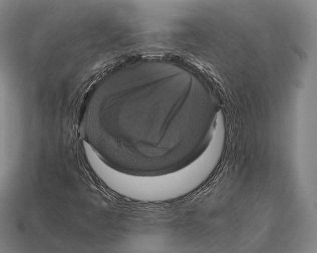 X0000113111445200909251042
