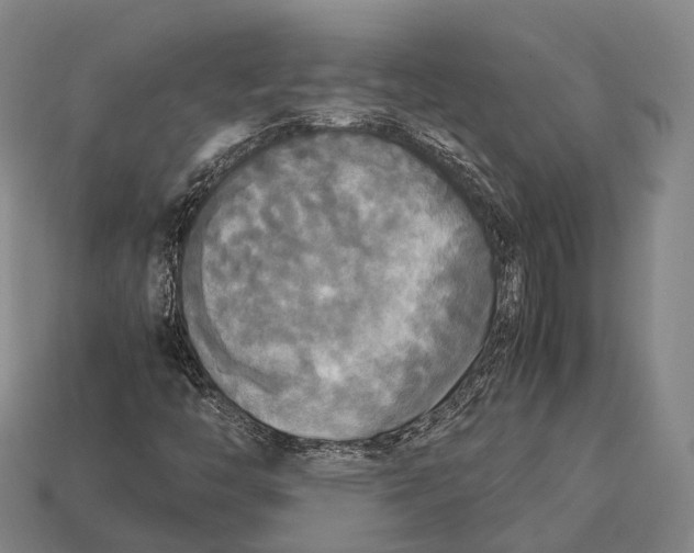 X0000113111446200909251042