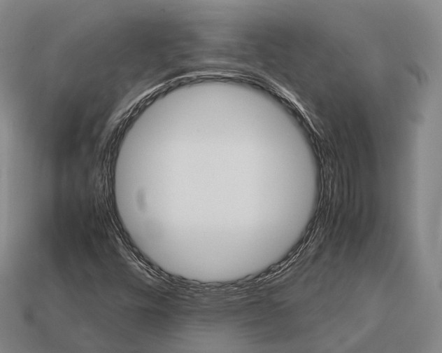 X0000113111448200909251042