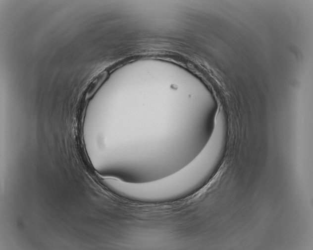 X0000113111449200909251042