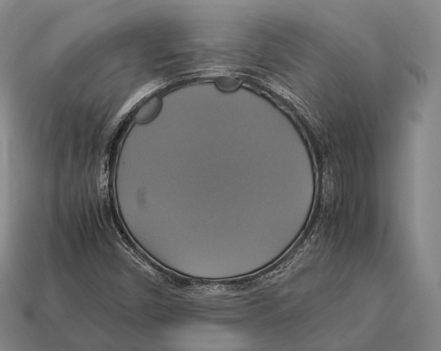 X0000113111450200909251042