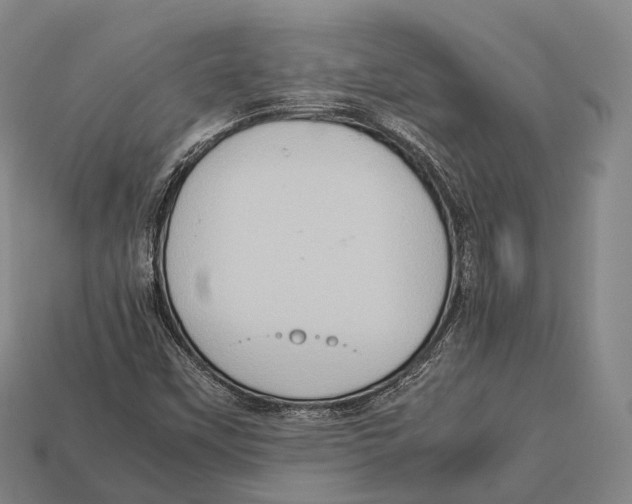 X0000113111451200909251042