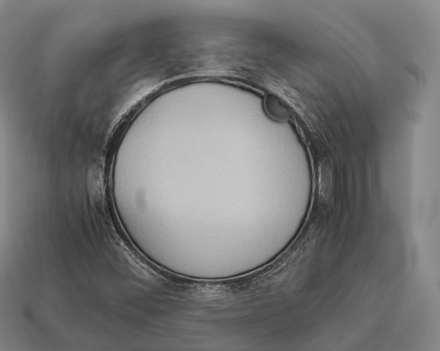 X0000113111452200909251042