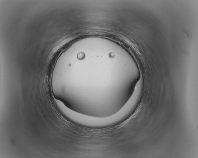 X0000113111453200909251042