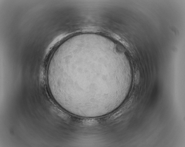 X0000113111454200909251042