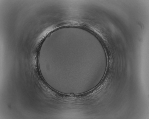 X0000113111455200909251042