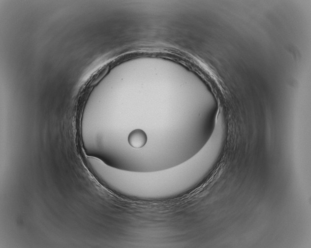 X0000113111456200909251042