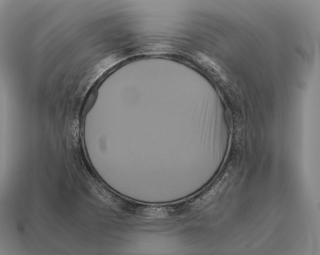 X0000113111457200909251042