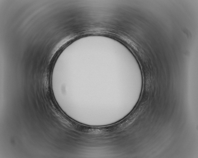 X0000113111458200909251042