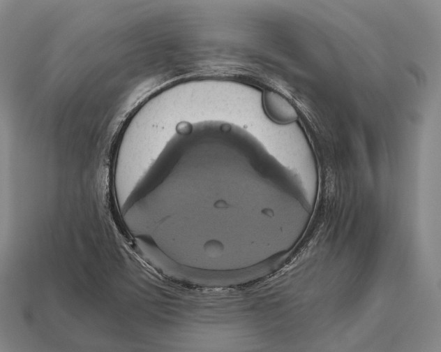 X0000113111459200909251042