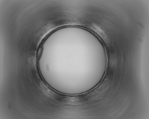 X0000113111460200909251042