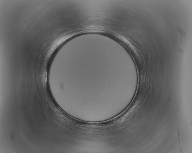X0000113111461200909251042