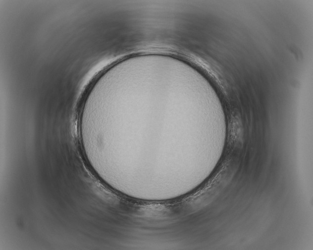 X0000113111462200909251042