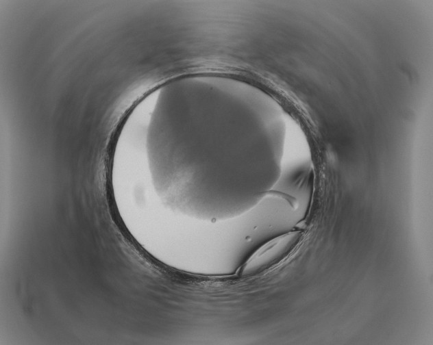 X0000113111463200909251042