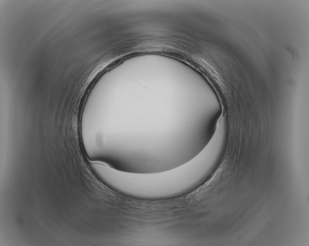 X0000113111465200909251042