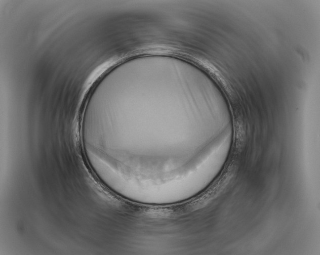 X0000113111466200909251042