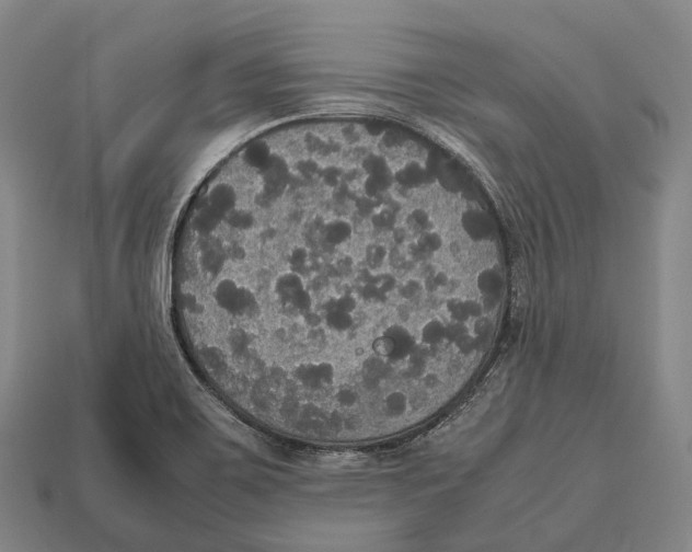 X0000113111467200909251042