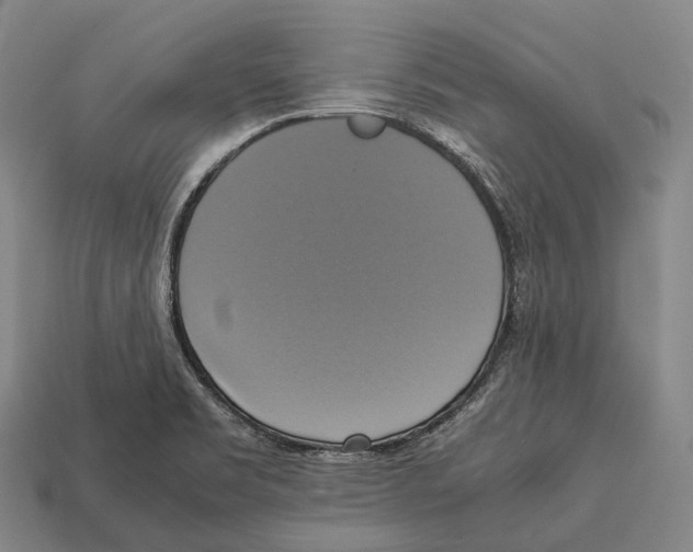 X0000113111469200909251042