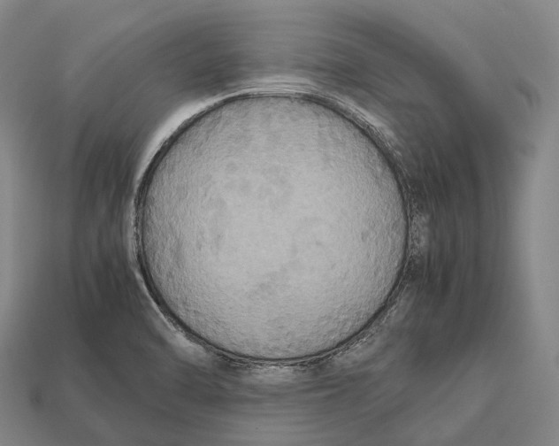 X0000113111470200909251042