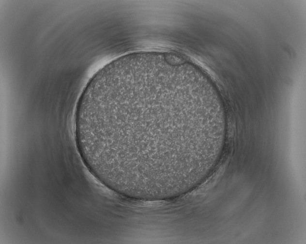 X0000113111471200909251042