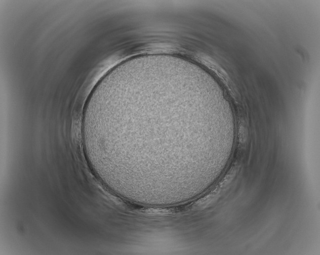 X0000113111473200909251042
