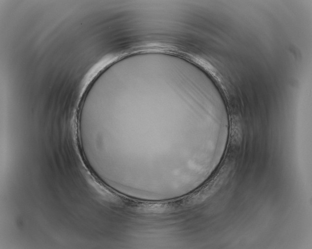 X0000113111474200909251042