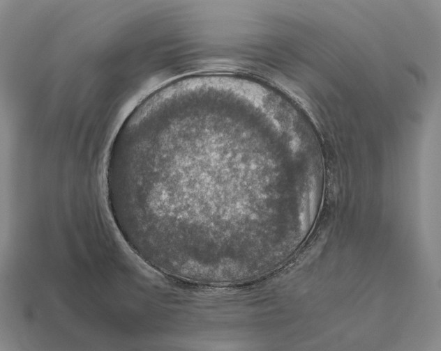 X0000113111475200909251042