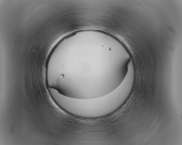 X0000113111476200909251042