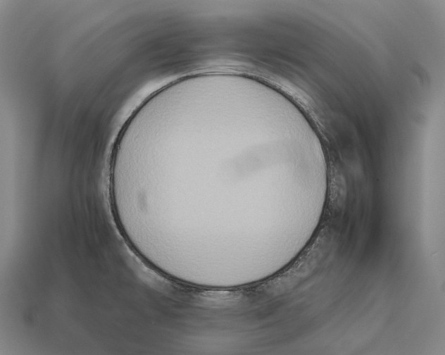X0000113111478200909251042