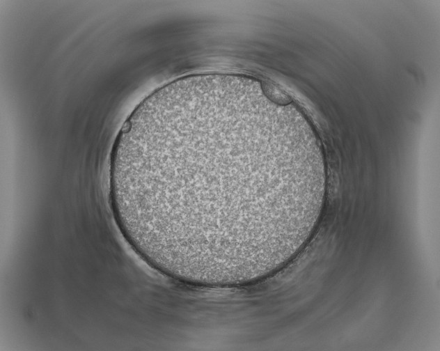 X0000113111479200909251042
