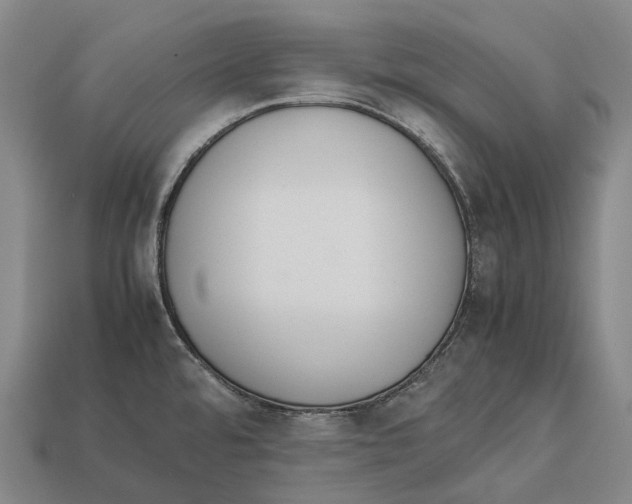 X0000113111480200909251042