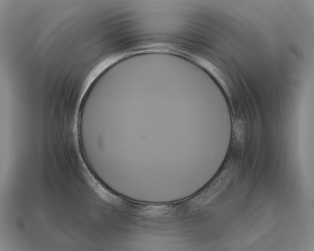 X0000113111482200909251041