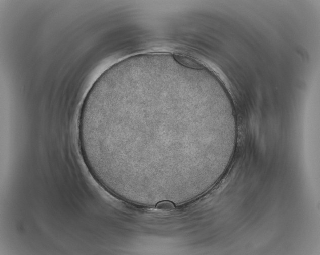 X0000113111483200909251041