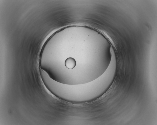X0000113111484200909251041