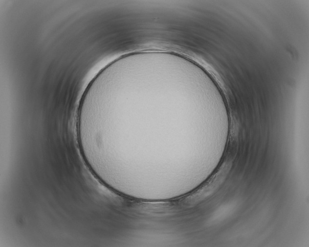 X0000113111486200909251041