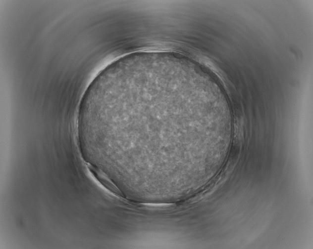 X0000113111487200909251041