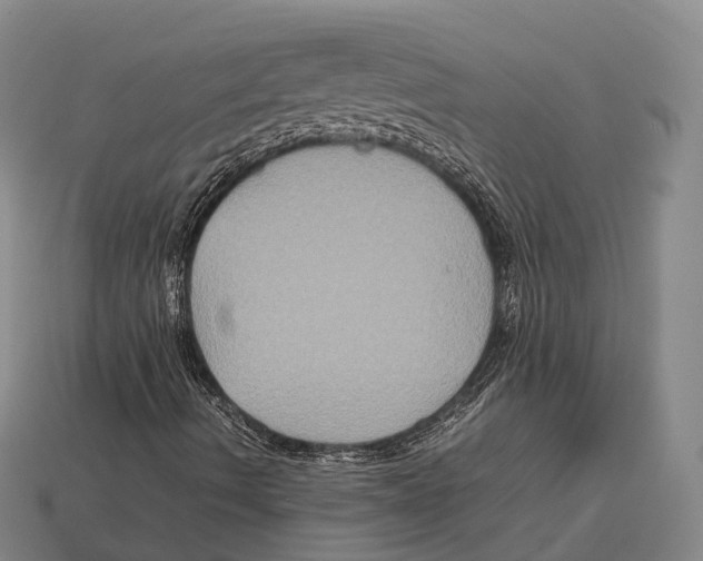 X0000113111490200909251041