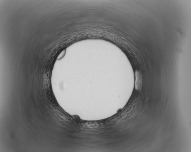 X0000113111491200909251041