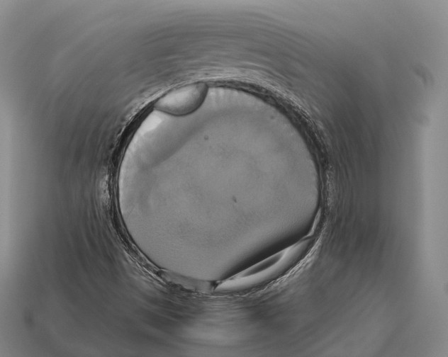 X0000113111497200909251041