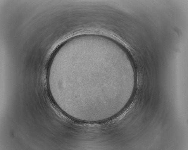X0000113111498200909251041